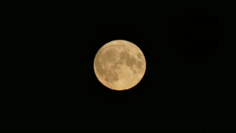 Full-orange-harvest-moon-crater-surface-closeup-passing-across-dark-sky
