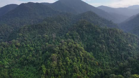 Backwards-aerial-dolly-shot-of-rainforest-in-Gunung-Leuser-National-Park,-the-Tropical-Rainforest-Heritage-of-Sumatra,-Indonesia---drone-tilting-slightly-down