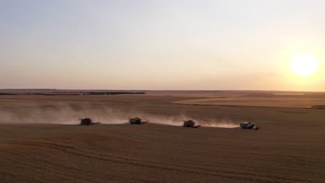Four-Combines-Harvesting-Rows-Of-Cut-Canola-With-Glowing-Brightly-Sun-On-Its-Background
