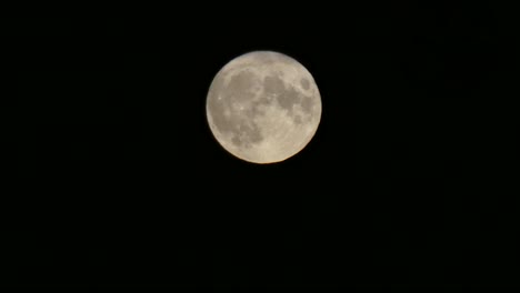 Full-harvest-moon-lunar-crater-surface-closeup-passing-across-dark-sky