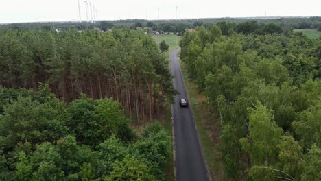 black-car-driving-in-the-forest