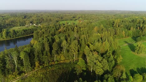 Herbstwald-Und-Grüne-Wiese
