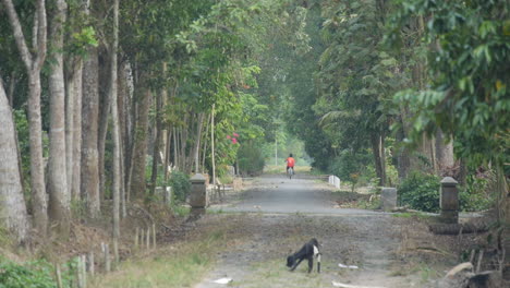 Kleiner-Junge-Fährt-Mit-Dem-Fahrrad-In-Die-Ferne-Auf-Der-Indonesischen-Straße,-Einsame-Ziege-Im-Vordergrund,-Zeitlupe