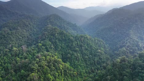 Cinematic-backwards-aerial-shot-of-beautiful-jungle-landscape-in-Gunung-Leuser-National-Park,-the-Tropical-Rainforest-Heritage-of-Sumatra,-Indonesia---drone-slowly-tilting-down