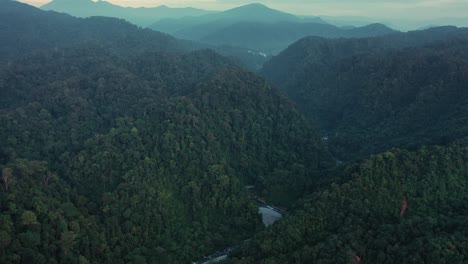 Moody-cinematic-aerial-view-of-rainforest-scenery-from-Bukit-Lawang-at-dawn-in-Gunung-Leuser-National-Park,-the-Tropical-Rainforest-Heritage-of-Sumatra,-Indonesia