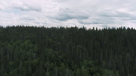 Überfliegen-Des-üppigen-Nadelwaldes-Im-Sommer-Mit-Weißen-Wolken-Oben-Auf-Der-Gaspe-Halbinsel,-Quebec,-Kanada