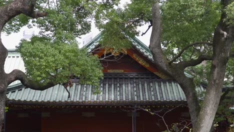 Hermoso-Templo-Japonés-Flanqueado-Por-árboles-Verdes-Que-Soplan-Con-Viento-Fuerte