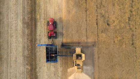 Combine-harvester-with-chaser-bin-mowing-in-field,-aerial-drone-shot