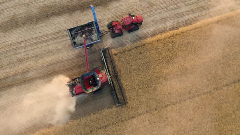 Perfect-aerial-shot-of-a-combine-harvester-and-chaser-bin-collecting-ripe-grains