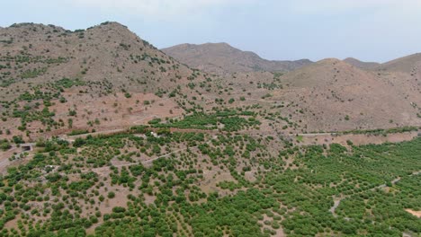 Arid-mountains-and-green-tree-fields-of-Crete-Island