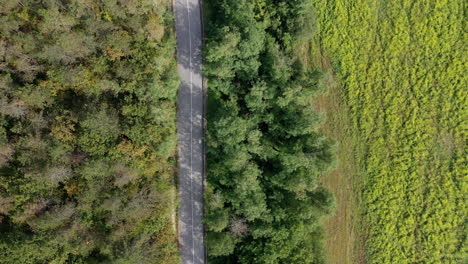 Flying-over-a-deserted-road-with-trees-on-one-side-and-farmland-on-the-other-side