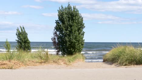 9-second-view-of-gentle-waves-beyond-a-beach-access-path,-then-a-cyclist-going-by-from-right-to-left,-followed-by-5-more-seconds-of-solitude