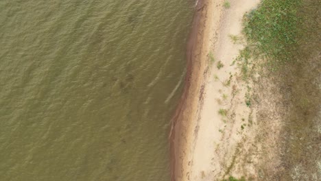 AERIAL:-Rotating-Shot-of-Coast-with-Grass-Growing-on-Sand-and-Rippling-Water