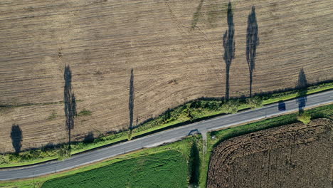 Beautiful-road-filmed-from-above-with-shadow-from-the-trees-on-the-farmland