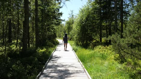 Mujer-Caminando-Por-Un-Sendero-De-Madera-Cerca-Del-Lago-Hohlohsee-En-El-Páramo-De-Las-Tierras-Altas-En-Kaltenbronn-En-La-Selva-Negra,-Alemania