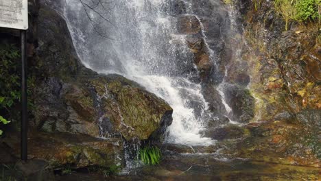 Wasserfall-Mit-Schneller-Strömung,-Umgeben-Von-üppiger-Grüner-Natur