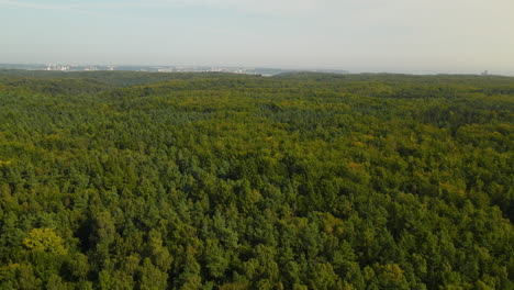 Vast-Forest-Landscape-In-Witomino-Gdynia-Poland---aerial-shot