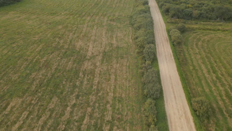 Empty-field-road-leading-through-the-farmland