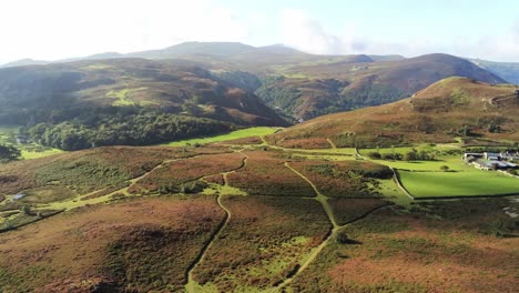 Aerial-view-rural-colourful-heather-rugged-Welsh-mountain-valley-countryside-push-in-dolly-left