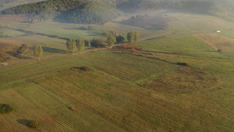 Aerial-view-of-foggy-hills-in-autumn