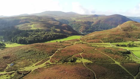 Aerial-view-rural-colourful-heather-rugged-Welsh-mountain-valley-countryside-push-in-left