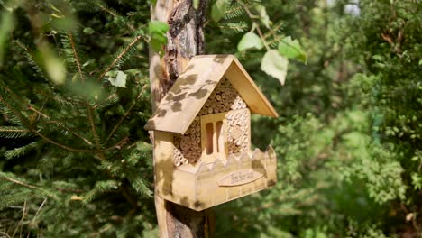 Panning-shot-of-a-bee-hotel,-Insect-hotel-on-the-tree-in-an-orchard