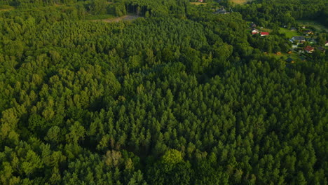 Green-Forest-Landscape-Near-The-Small-Village-Of-Sasino-Poland---aerial-shot