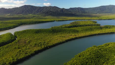 River-flowing-through-tropical-rainforest-environment,-aerial-view