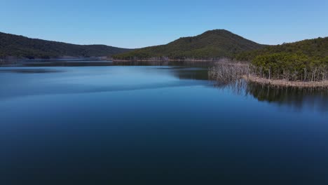 Motionless-Water-Of-Advancetown-Lake-Near-The-Hinze-Dam---Dead-Trees-Around-The-Island---Gold-Coast,-QLD,-Australia