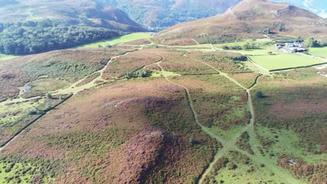 Aerial-view-rural-colourful-heather-rugged-Welsh-mountain-valley-countryside-tilt-up-pull-back-to-horizon