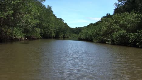 Tarcoles-Fluss-Und-Die-Mangrovenbäume-Am-Flussufer-In-Costa-Rica