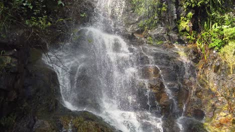 Wasserfall-Mit-Schneller-Strömung,-Umgeben-Von-üppiger-Grüner-Natur