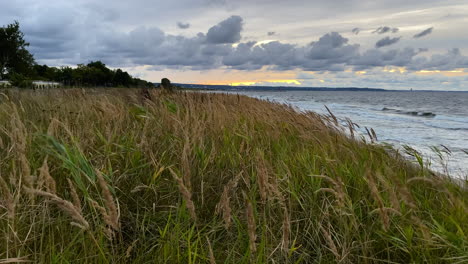 Static-shot-of-ocean-waves-with-grassy-field-blowing-in-wind-at-cloudy-sunset