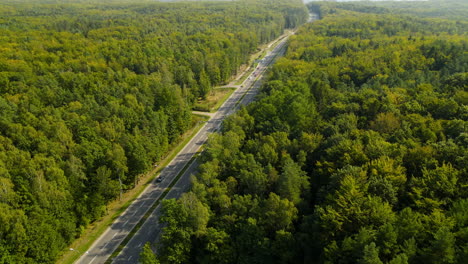 Highway-with-moderate-traffic-crossing-dense-forest