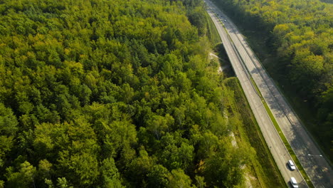 Aerial-view-of-freeway-with-large-green-woods-on-the-sides-of-the-lanes
