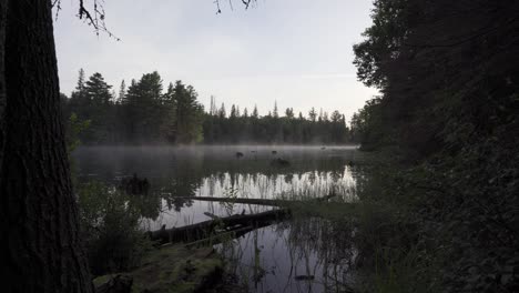 Steam-Rising-On-A-Lake-At-Sunrise,-Beautiful-Backcountry-Landscape