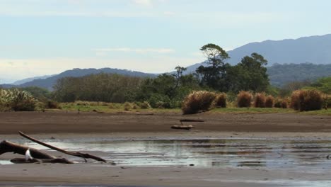 Tarcoles-muddy-river-bank-in-Costa-Rica,-mountains-in-the-background
