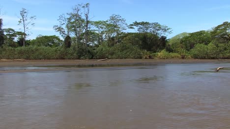 Tarcoles-river-in-Costa-Rica