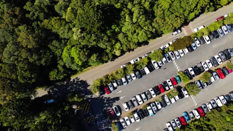 Vehicles-Parked-In-The-Parking-Lot-At-O'Reilly's-Rainforest-Retreat---Lamington-National-Park-In-Summer---Aerial-Descending,-Orbit-shot