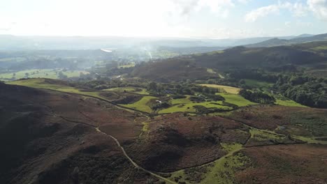 Aerial-view-rural-colourful-heather-rugged-Welsh-mountain-dramatic-valley-countryside-slow-push-in