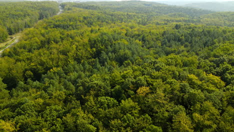 Drone-aerial-flight-over-green-forest-wilderness-near-highway-road-on-sunny-day