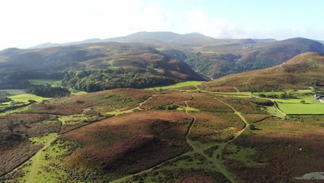 Aerial-view-rural-colourful-heather-rugged-Welsh-mountain-valley-countryside-pan-left