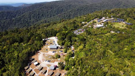 Mountain-Villas-At-O'Reilly's-Rainforest-Retreat---Lush-Green-Forest-At-Lamington-National-Park-In-Summer---Hinterland-Rainforest-In-Canungra,-Gold-Coast,-Queensland,-Australia