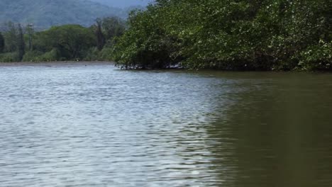 Tarcoles-Fluss-In-Costa-Rica