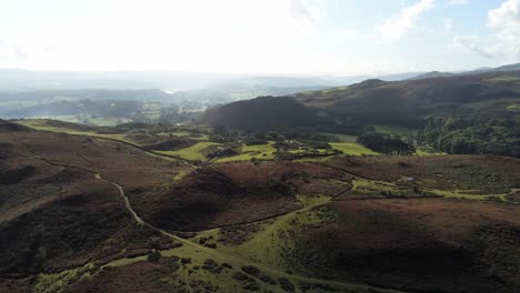 Aerial-view-rural-colourful-heather-rugged-Welsh-mountain-valley-countryside-fast-pan-left-dolly