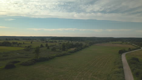 Flying-above-green-meadows-and-farmlands-with-forest-in-background