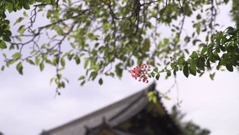 Nahaufnahme-Einer-Schönen-Blume-Mit-Hintergrundunschärfe-Des-Japanischen-Tempeldachs---Abstrakte-Ansicht