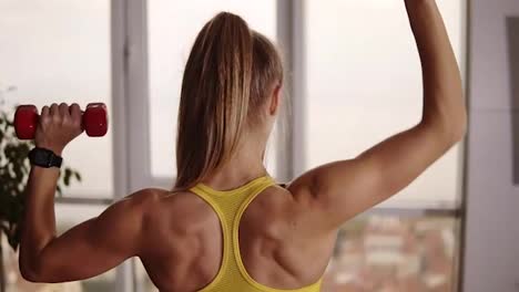 Strong-fitness-woman-lifting-dumbbells-while-doing-biceps-exercises,-enjoying-training.-Pretty-athletic-female-making-sports-exercise-at-home.-Footage-of-a-perfect-trained,-muscular-back