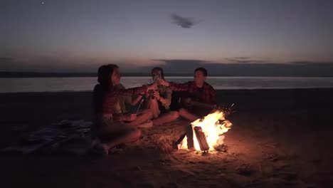 Accelerated-footage-of-friends-sitting-on-the-beach-on-a-plaid-near-the-bonfire,-clinking-with-beer-bottles.-Happy-time,-friendship.-Night,-wind-blowing