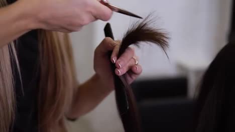 Closeup-of-skilled-hairdresser-with-french-manicure-cuts-client-brown-hair-ends-with-new-metal-scissors.-Professional-stylist-taking-care-of-clients-ends.-Slow-motion